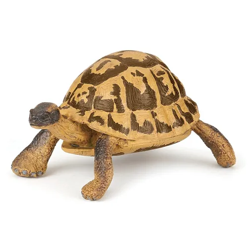 Papo 50264 - Wildtiere - Hermanns Schildkröte