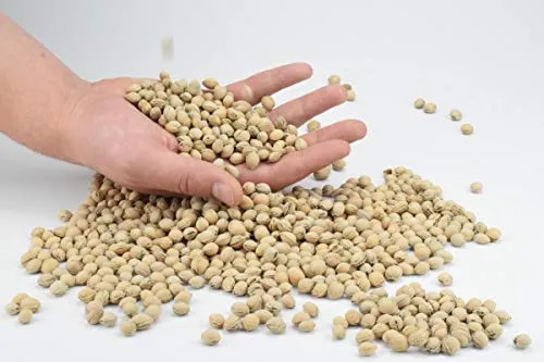 Kirschkerne von ATC in verschiedenen Mengen und im handlichem Eimer- ideal geeignet für Wärmekissen, Körnerkissen