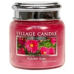 Autumn Aster 92g (Chrome)