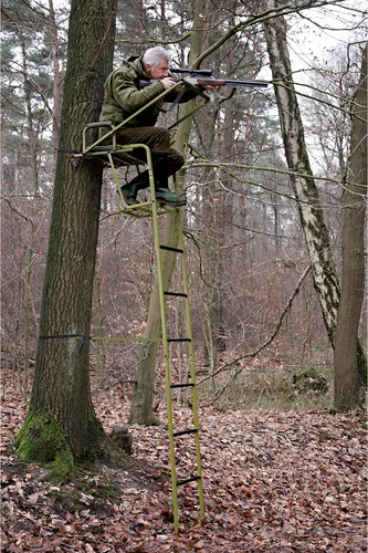 Baumsitz Hirsch von Askari