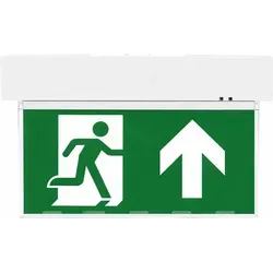 LED Notleuchte 5,5W mit Piktogrammen & Akku für Wand- und Deckenmontage
