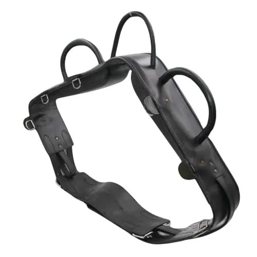 AMKA Voltigiergurt Cheval Vollblut mit runden Griffen und 2 Beinschlaufen, schwarz 057/88A