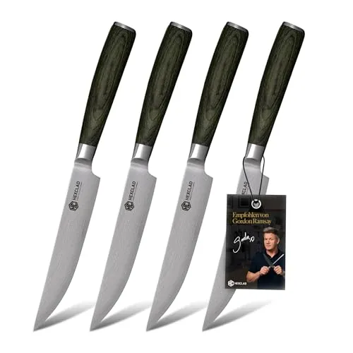 HexClad Steakmesser Set 4-teilig – Fleischmesser aus Damaststahl