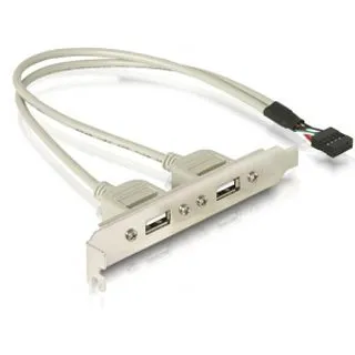 Delock Slotblech 2 x USB 2.0 Typ A Buchse extern - USB-Controller mit 30 cm Kabellänge, ideal für den Einbau in PC Slots
