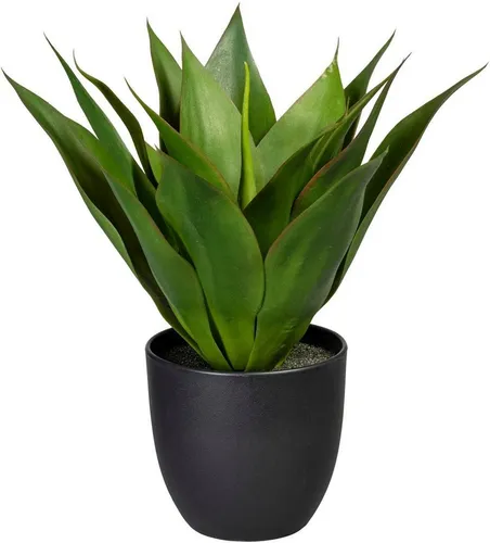 Künstliche Zimmerpflanze Agave Agave, Creativ green, Höhe 36 cm