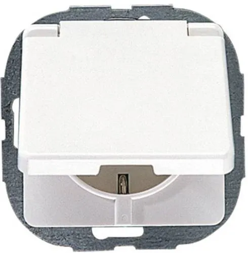 REV 1fach Einsatz Steckdose Weiß 0500292551 1St. von REV