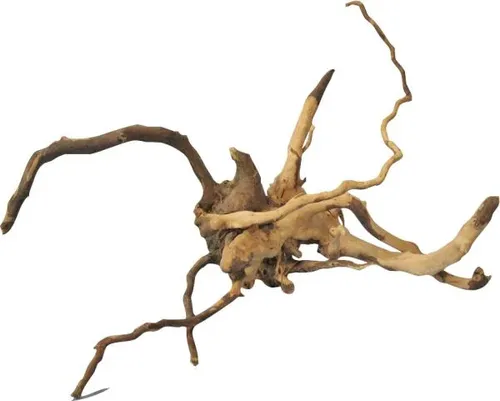 Orbit Finger-Wurzel Größe S 15-20 cm Aquariumdeko