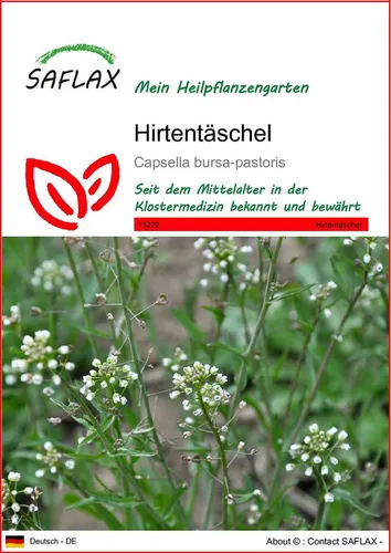 SAFLAX Blumensamen SAFLAX von Saflax