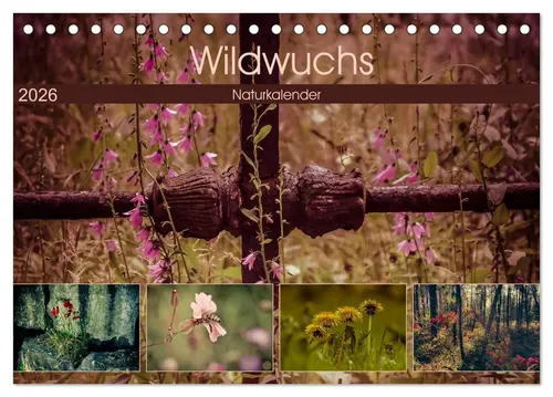 Marianne Drews | Wildwuchs 2026 (Tischkalender 2026 DIN A5 quer), CALVENDO...