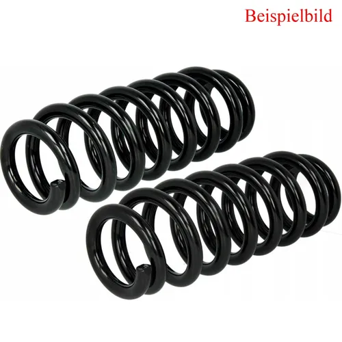 Fast Fahrwerksfeder FT01861
