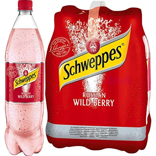 DPG Schweppes Russian Wild Berry 6 x 1,25l