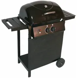 Garden Pleasure Gasgrill 2-flammig Schwarz von Garden Pleasure
