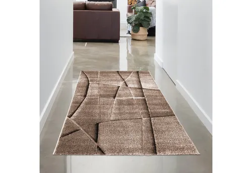 Carpetia Teppich Moderner Teppich Stilvolle für Wohnräume im 3D-Design in Braun, rechteckig