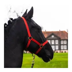 Pferdelinis Halfter von Pferdelinis