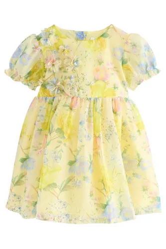 Next Partykleid Kleid mit Ansteckblume (1-tlg)