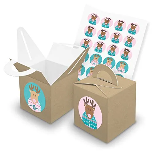itenga Adventskalender Bastel-Set I 24 Geschenkboxen Würfel mit Griff aus Karton I Braun I verschließbar I Aufkleber mit den Zahlen 1 bis 24 Rentierbande Rosa Türkis