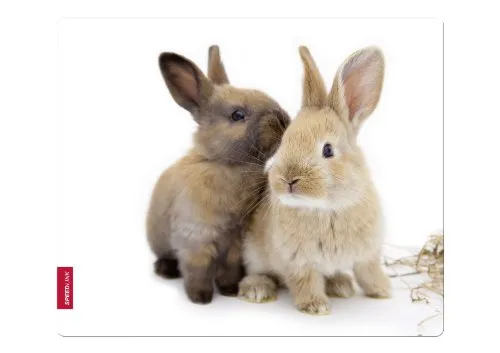 Speedlink Silk Mauspad Hasen von Speedlink