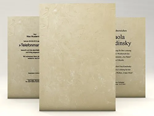 paperandpicture.de Urkundenpapier 'Structure Beige' 10 Blatt | DIN A4 | hochwertig | Blanko Urkunde | Anerkennung Papier
