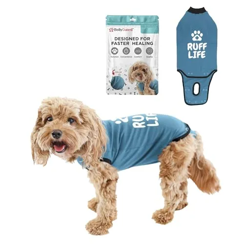 BellyGuard Hundebody nach OP