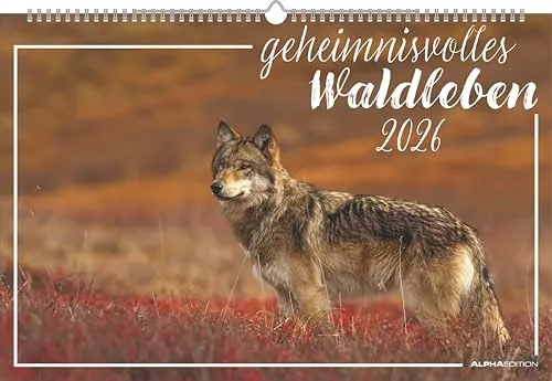 Alpha Edition - Geheimnisvolles Waldleben Kalender 2026 – Bildkalender 49,5x33 cm – Tiere & Pflanzen in heimischen Wäldern – Für Tier- und Naturfreunde – Sprachneutrales Kalendarium