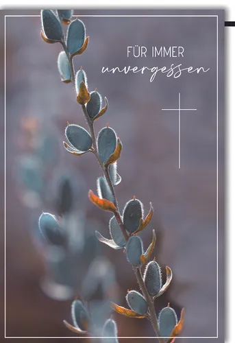 Trauer – Beileid – Kondolenz