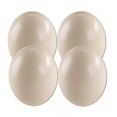 Produktbild 4er Set Straussenei XXL ausgeblasen natur 13-15 cm Afrika Riesenei Vogel Strauß