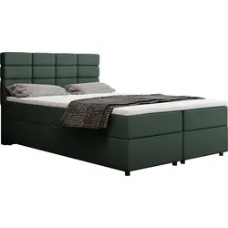 Panda Möbel Boxbett Dunkelgrau, 140x206 cm in grün von PANDA MÖBEL