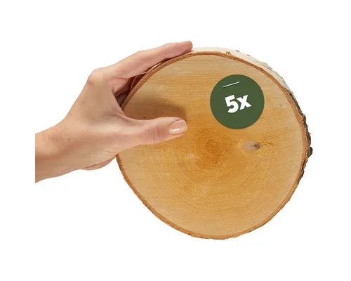 matches21 HOME & HOBBY Bastelnaturmaterial Kleine 16 cm Baumscheiben 5er Pack zum Holz-Deko Basteln, (5-tlg), runde Holzscheiben aus massivem EU Birkenholz