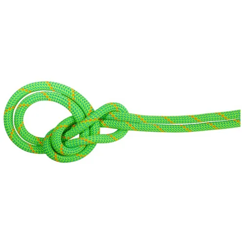 Mammut 9.5 Crag Dry Rope
