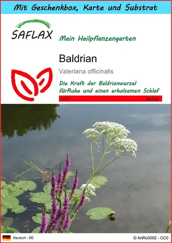 SAFLAX Blumensamen SAFLAX - Geschenkset - Baldrian