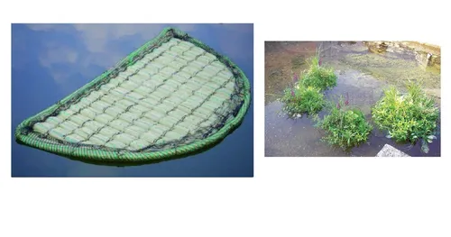 Produktbild Aquaforte Schwimmende Pflanzinsel Halbrund 121cm