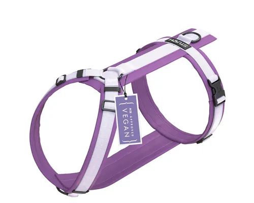 STUCH Hundegeschirr - Verstellbares Nylon Geschirr für Hunde (Lila, XXS) - Hochwertiges und gepolstertes Hundegeschirr aus strapazierfähigem Nylon, ideal für kleine bis große Hunde. Ergonomisches Design sorgt für optimalen Tragekomfort und gleichmäßige Druckverteilung.