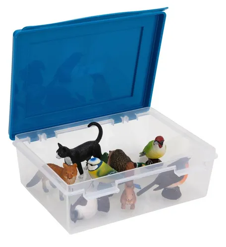Betzold Vogel- & Säugetier-Set – Anschauliches Lernmaterial für Kinder