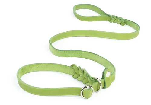 CopcoPet Retrieverleine mit Zugstopp für kleine Hunde – 1,20m x 10mm Moxonleine in Apfelgrün – Fettlederleine & Agilityleine aus Leder – stufenlos verstellbar, Handarbeit, verchromt, wetterfest