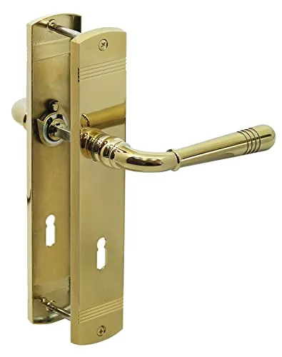 Häusler Onlinehandel GmbH Türbeschlag 1612 Helena LS BB Messing poliert PVD Türklinke