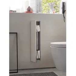 Emco asis plus WC-Modul in grau von Emco