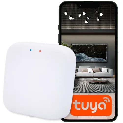 Zhub-w Zigbee Tuya Gateway
