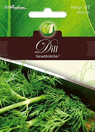 Dill, Gewöhnlicher
