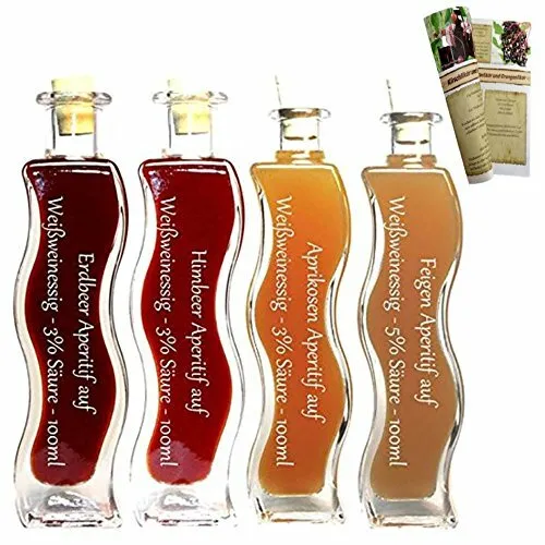 Geschenkset & Probierset | Erdbeer - Aprikose -Feige - Himbeer | 4 x 100 ml