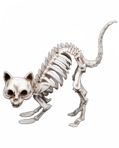 Horror-Shop Dekoobjekt Katzenskelett als Knochengerippe mit Katzenbuckel