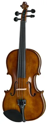 Stentor SR1505 Viola Student II 14
