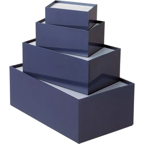 TEKO P/3.10 Universal-Gehäuse 161 x 96 x 61 Kunststoff Grau, Blau 1St.