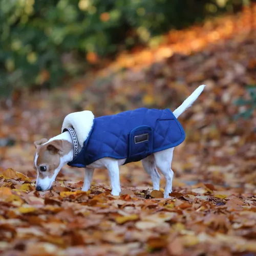 Kentucky Dogwear Hundemantel 160g