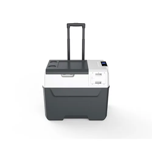 Kühl- und Gefrierbox 40 Liter tragbar 12/24 V Kühl-/Gefrierschrank mit Rollen