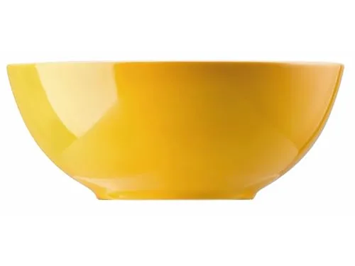 Thomas Rosenthal Sunny Day Müslischale, Dessertschale in gelb von Thomas