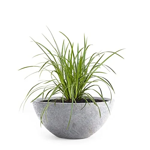Pflanzwerk® Pflanzkübel Bowl Ø 28cm Lava Hellgrau - Frostbeständig & Hochwertig - Hochwertiger Pflanzkübel aus deutschem Premium-Material, ideal für drinnen und draußen. Mit spezieller Imprägnierung für maximale Langlebigkeit und Widerstandskraft. Durchmesser: 28cm, UV-beständig, inkl. Wasserablaufloch.
