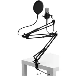 Pronomic CM-22 Radioshow Bundle mit Popschutz & Mikrofonarm - Professionelles Mikrofon-Set mit goldbedampfter 1,25
