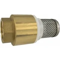 Boni-Shop Saugkorb 3/4 Zoll  Messing Fussventil Mit RüCkschlagventil Edelstahl