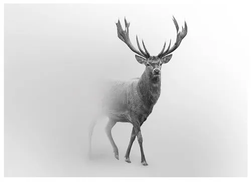WallArena - Vlies Fototapete Hirsche 250x175 cm - Fototapeten - Tapeten - für Wohnzimmer Schlafzimmer - Vliestapete Wandtapete Tapete 3D Effekt- inkl. Kleister - Tiere