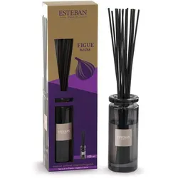 Esteban Duftstrauß Initial + Nachfüllung 100 ml